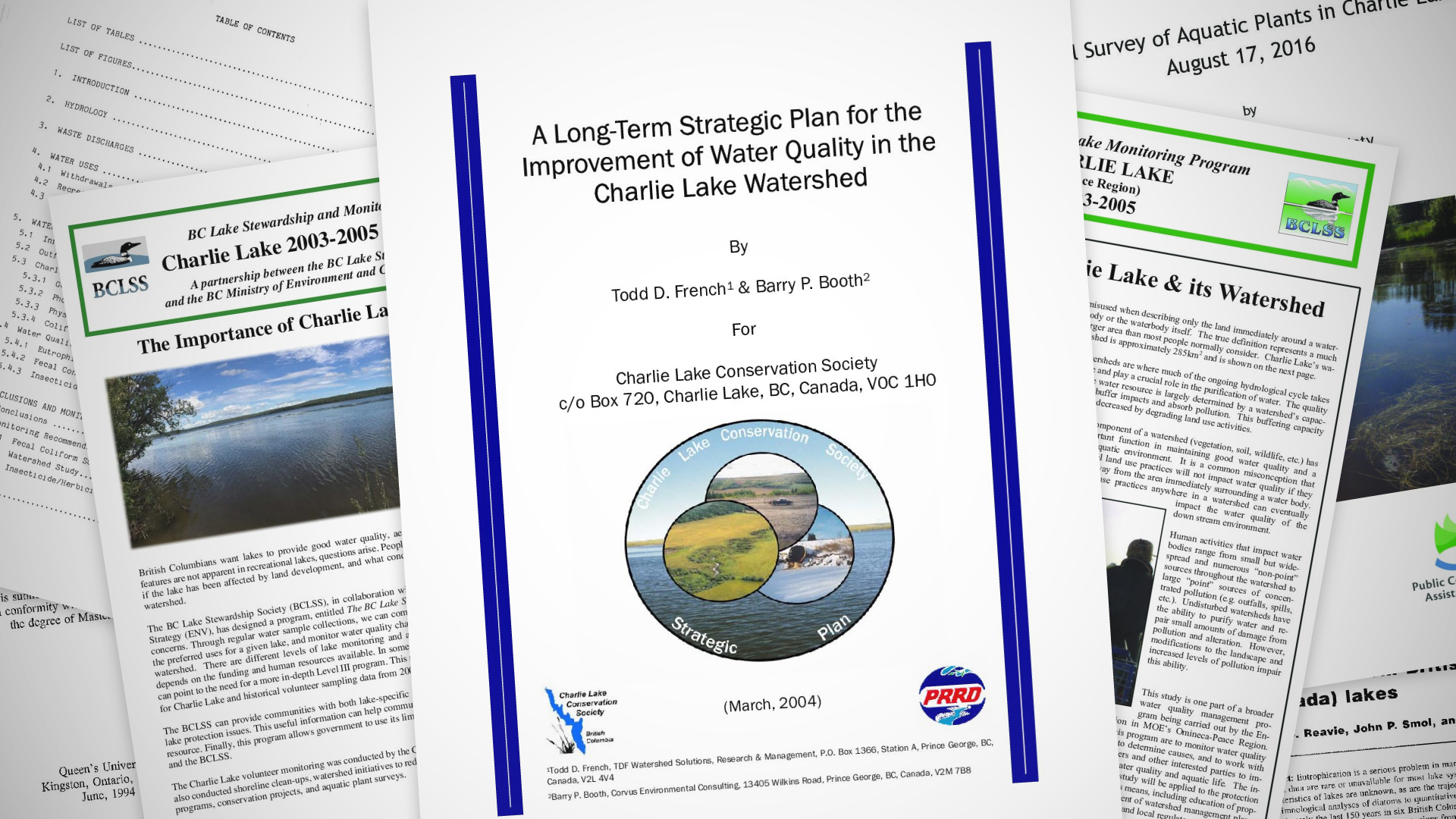 A collage image of the various reports available in the CLCS Report Library