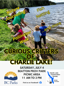 Curious Critters July 4th 11-3