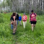 Walk in the Woods July 7, 2026
