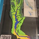 Charlie Lake model at the museum exhibit