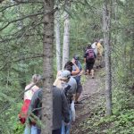 Walk in the Woods  |  25 August 2026
